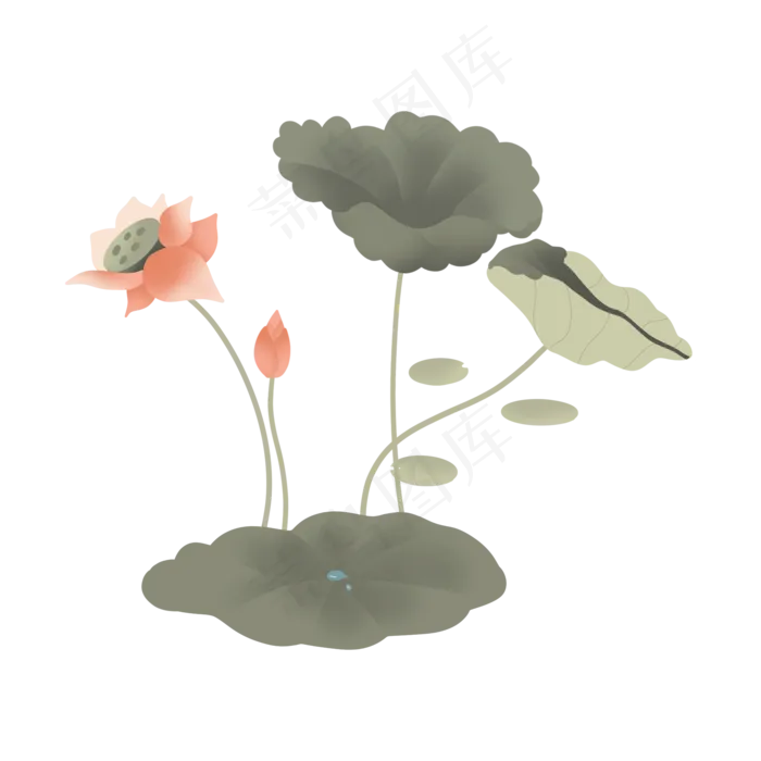 荷花荷叶莲花开花(2000X2000(DPI:72))psd模版下载