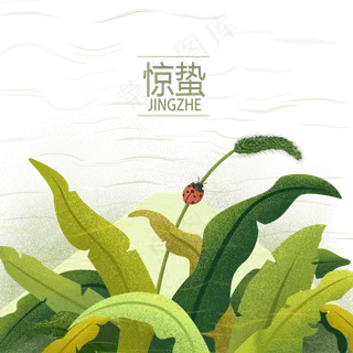 二十四节气瓢虫惊蛰PNG农历春天,免抠元素