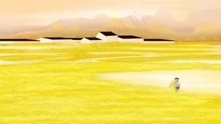 乡村生活麦田小男孩