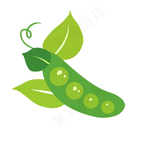 拨开的豌豆两只大叶子