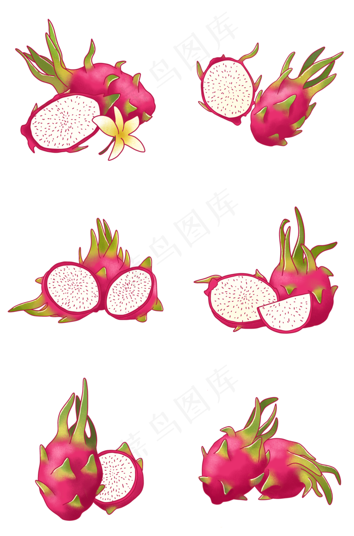 手绘切开的新鲜火龙果组图PNG(2000X3020(DPI:300))psd模版下载