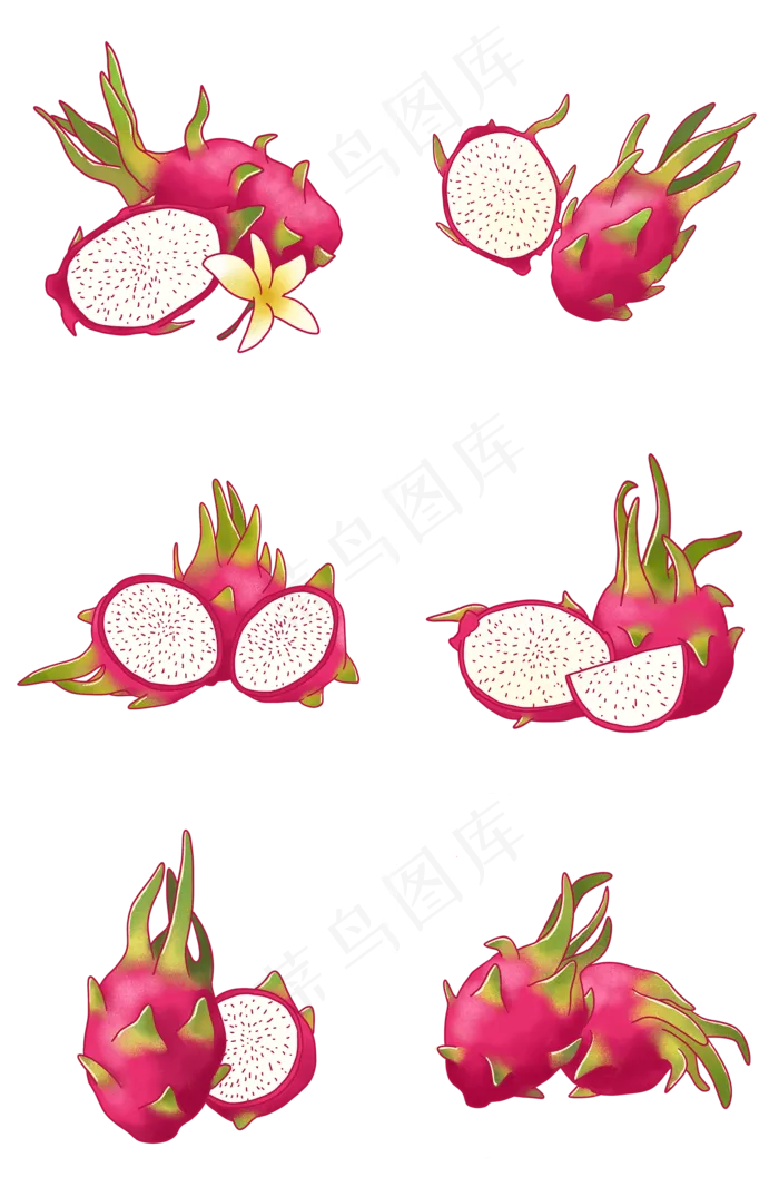 手绘切开的新鲜火龙果组图PNG(2000X3020(DPI:300))psd模版下载