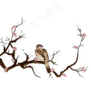 中国风古典手绘花鸟矢量图,免抠元素