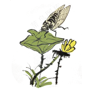 夏天清凉水墨知了荷花荷叶手绘插