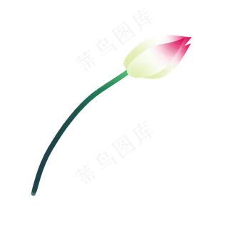 彩色创意花朵元素