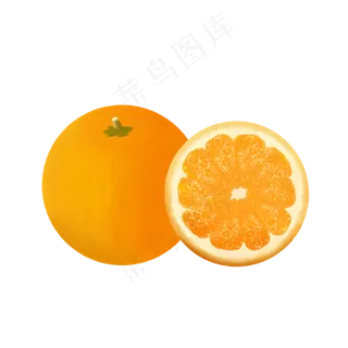 水果手绘卡通小物件橙子矢量图