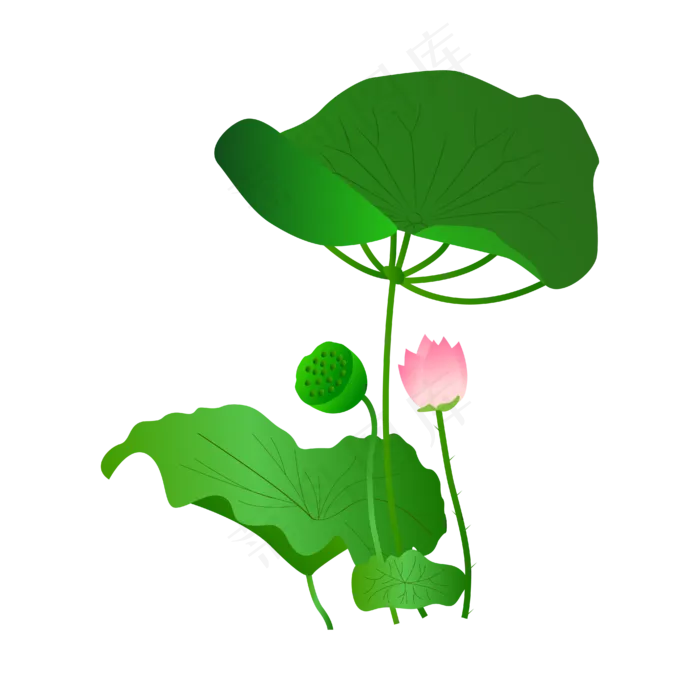 手绘卡通粉色莲花(4167*4167px 300 dpi )ai矢量模版下载