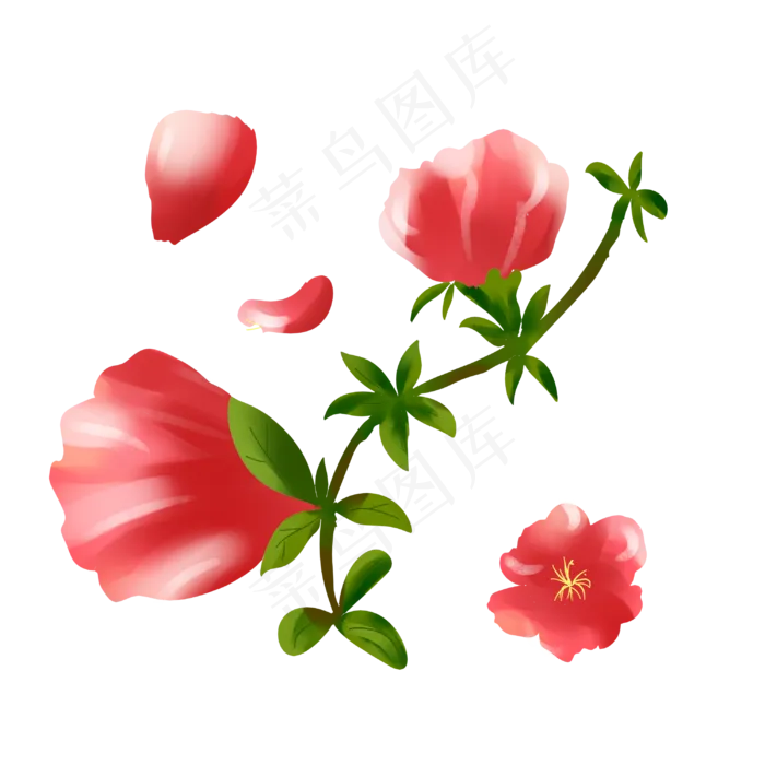 红色花手绘装饰图案(3000X3000(DPI:299))psd模版下载