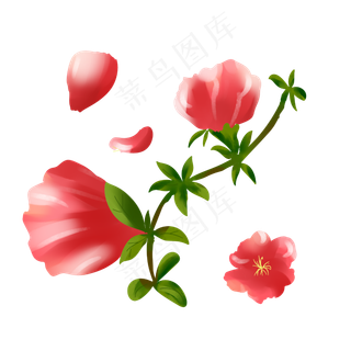 红色花手绘装饰图案