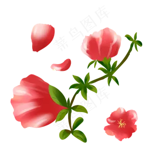 红色花手绘装饰图案 红色花手绘装饰图案