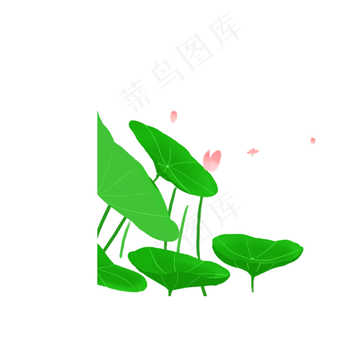 美丽的荷花(2000X2000(DPI:300))psd模版下载