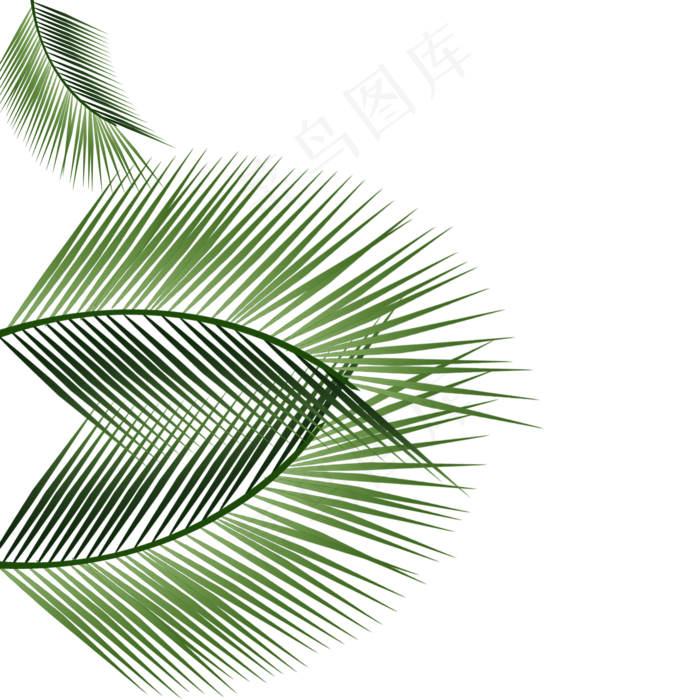 彩色热带植物元素