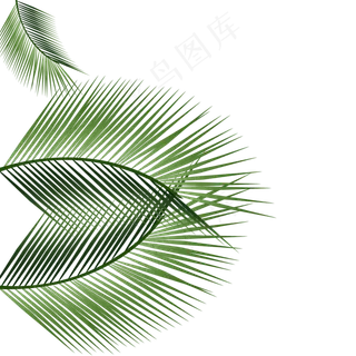 彩色热带植物元素