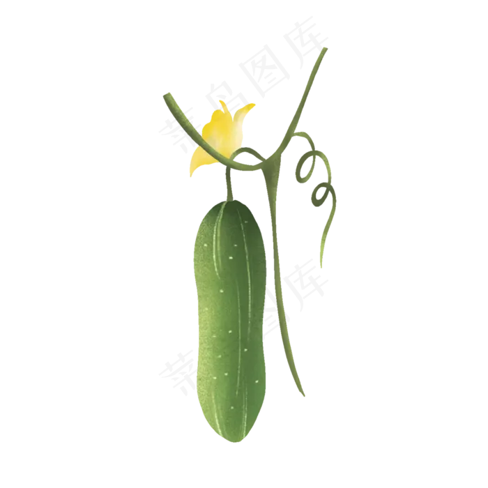 卡通黄瓜(2000*2000px 72 dpi )