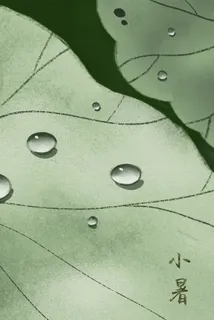 二十四节气之小暑