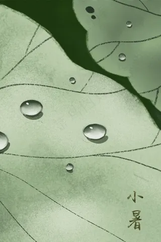 二十四节气之小暑