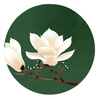 花卉复古淡雅底纹中国风花卉装饰,免抠元素