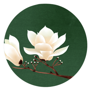 花卉复古淡雅底纹中国风花卉装饰,免抠元素