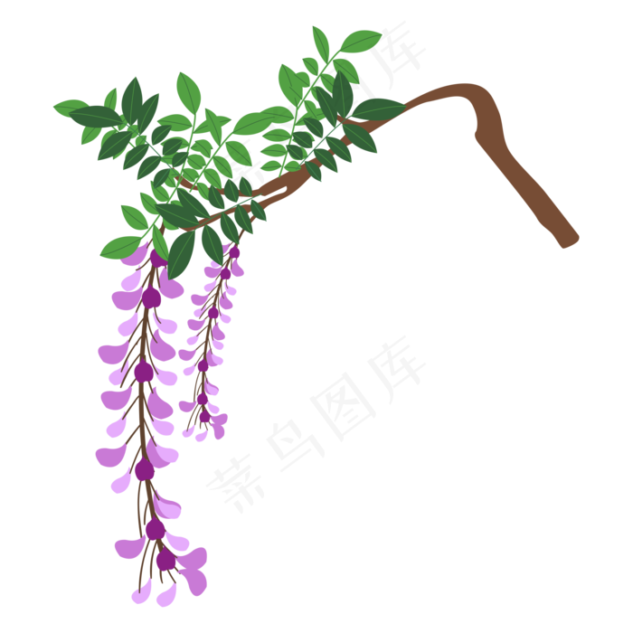 矢量花卉紫藤萝花(2000*2000px 300 dpi )ai矢量模版下载