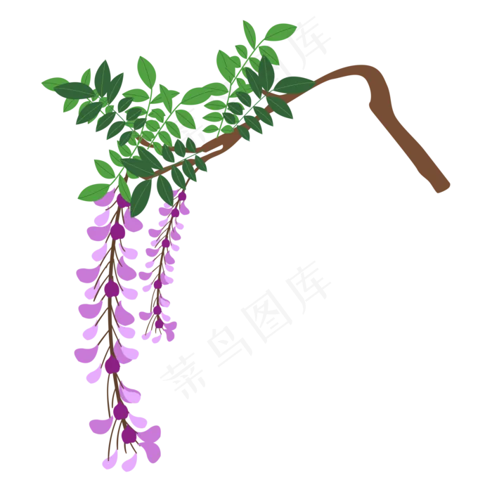 矢量花卉紫藤萝花(2000*2000px 300 dpi )ai矢量模版下载