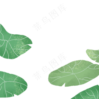 绿色的叶子