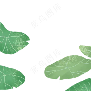 绿色的叶子