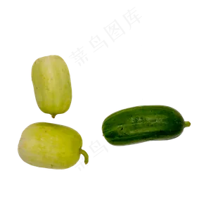 水果黄瓜