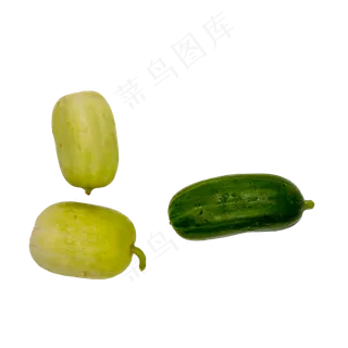 水果黄瓜 水果黄瓜