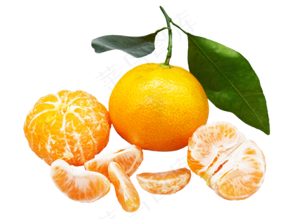 橘子橘子瓣