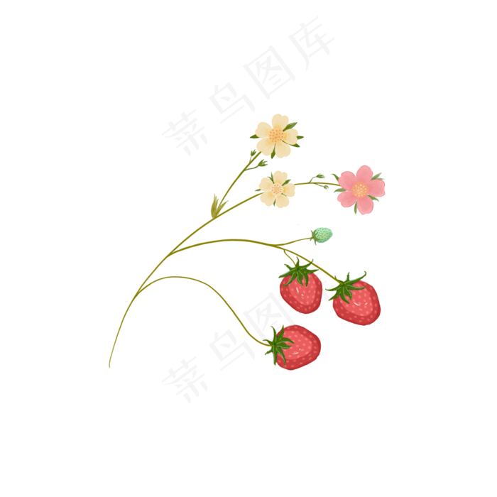 手绘草莓花植物可商用元素