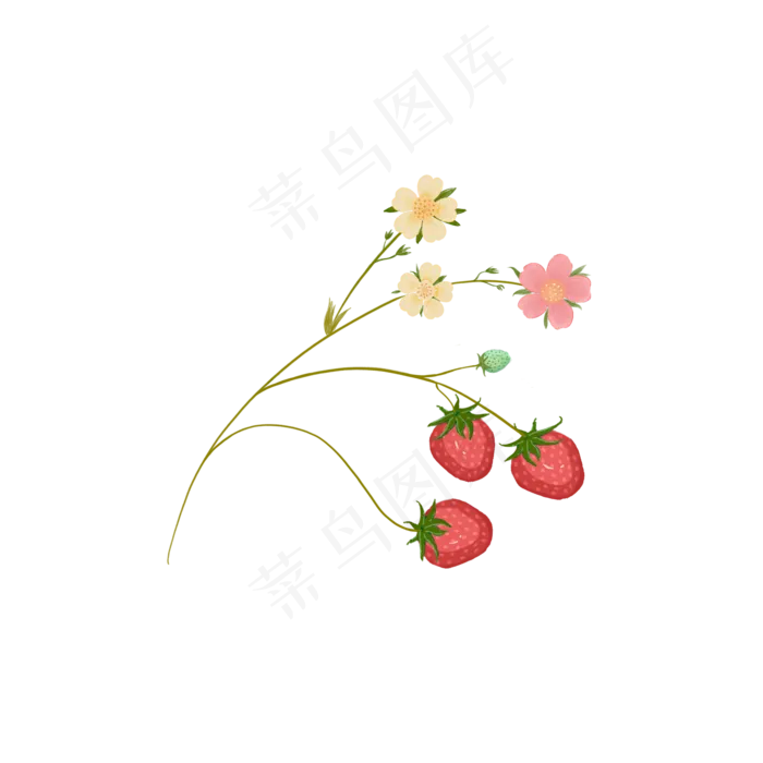 手绘草莓花植物可商用元素