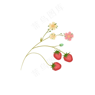 手绘草莓花植物可商用元素