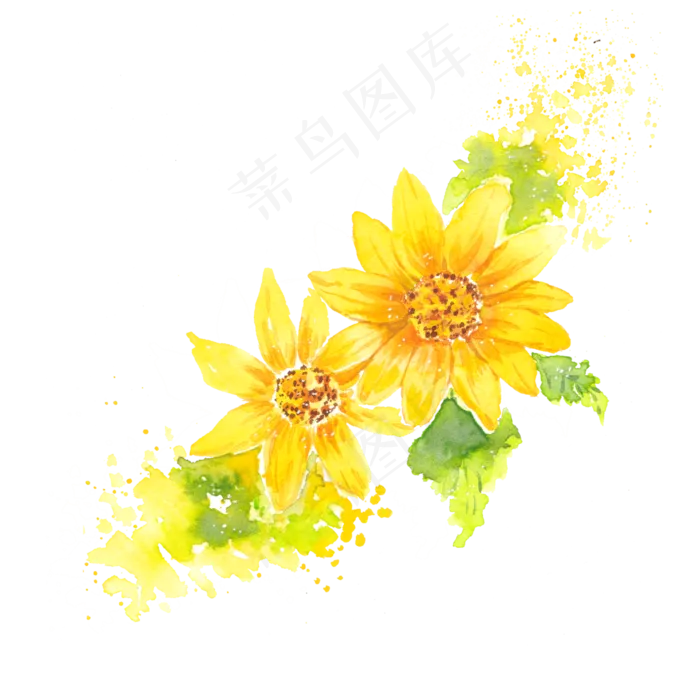 水彩黄色菊png(3996X3928(DPI:600))psd模版下载