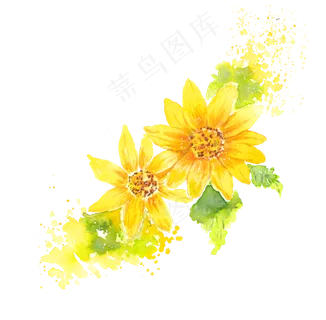 水彩黄色菊png
