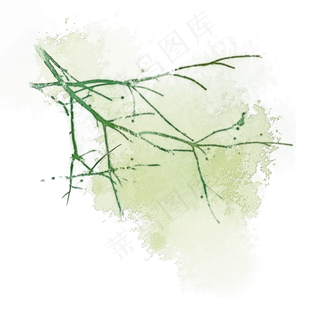 纤细枝丫草木树枝PNG素材