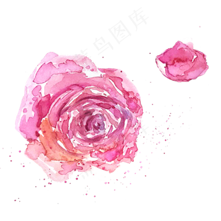 卡通玫瑰花免抠图下载