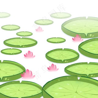 夏季节气荷花荷叶荷塘