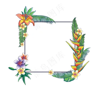 夏天夏至植物装饰素材