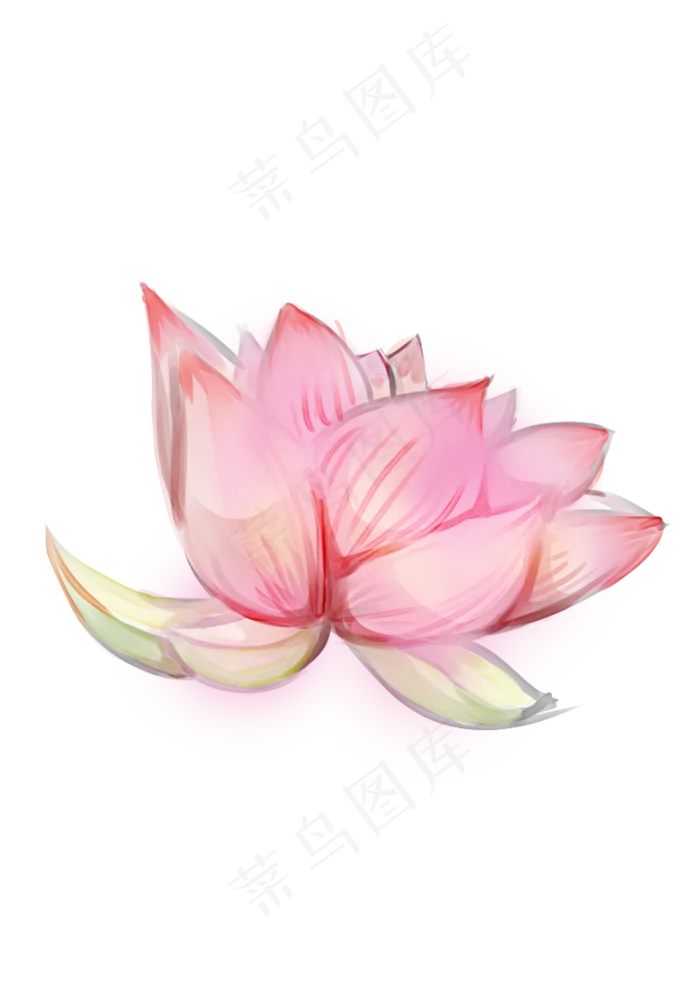 手绘夏日荷花PNG下载(2480X3508(DPI:300))psd模版下载