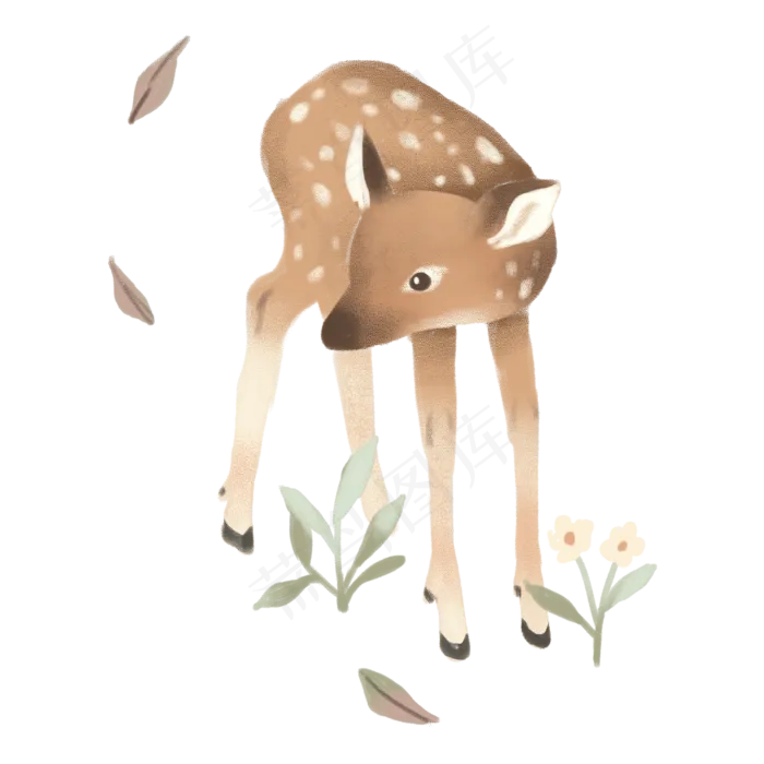 手绘一只站着的美丽森林小鹿(2000X2000(DPI:300))psd模版下载