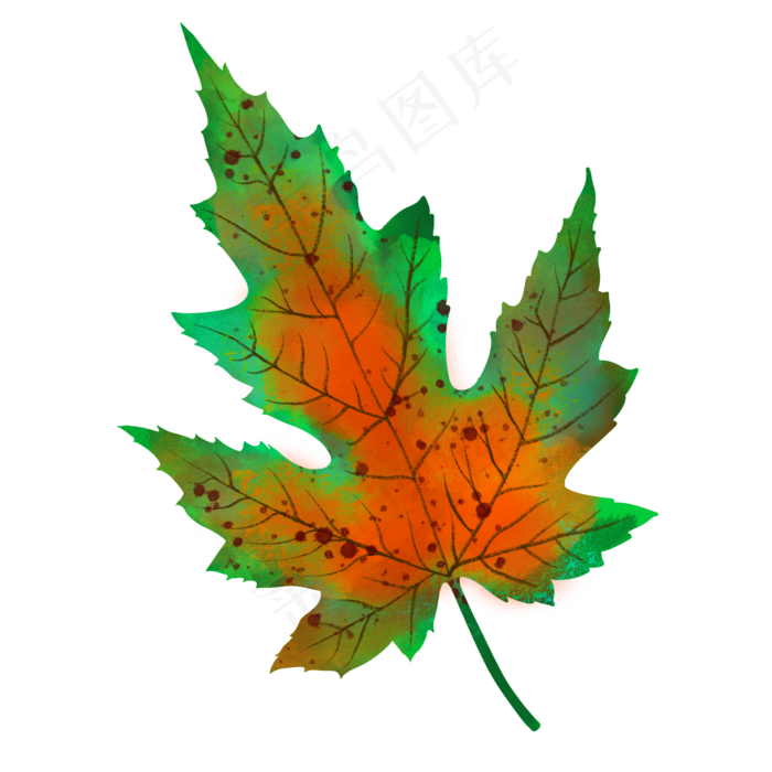 秋冬枫叶秋叶手绘植物叶子简约(2000X2000(DPI:300))psd模版下载
