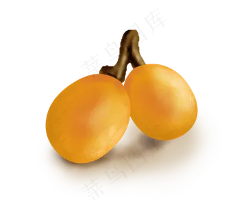 手绘夏季水果枇杷