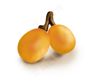 手绘夏季水果枇杷