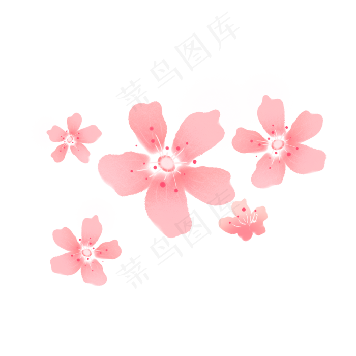 阳春三月的樱花插画,免抠元素