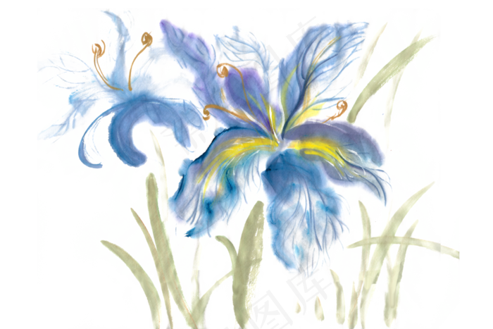 淡雅的蓝色花水墨画PNG免抠素材(7087X4724(DPI:300))psd模版下载