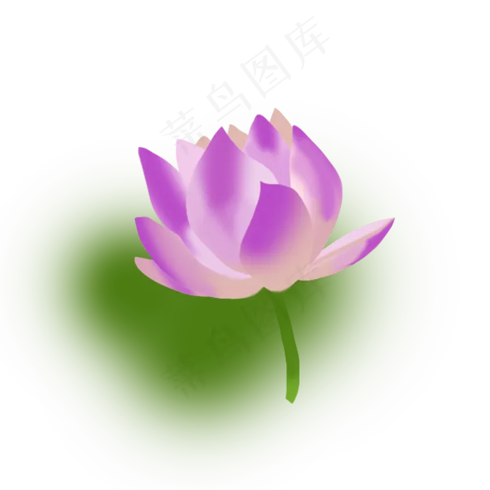 清新夏季荷花元素(2000X2000(DPI:300))psd模版下载