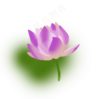 清新夏季荷花元素