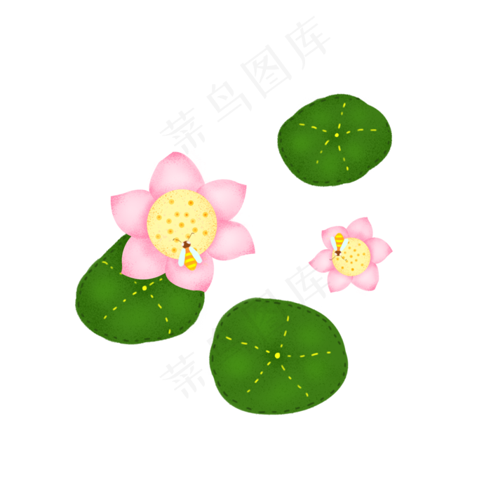莲花荷花荷叶蜜蜂