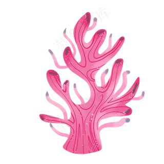 粉色海洋植物珊瑚