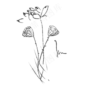 水墨荷花黑白写意莲蓬